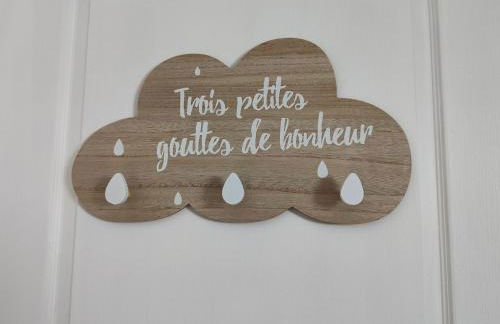 Gîte Les Piraudières - Foto 46