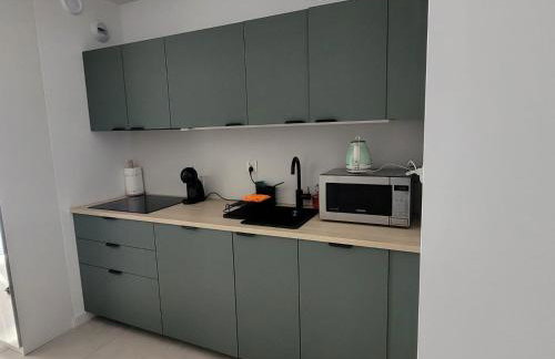 Residenz Kąpielowa - widok na Śnieżkę - Photo 2