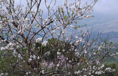 Casa Opuntia - Foto 57