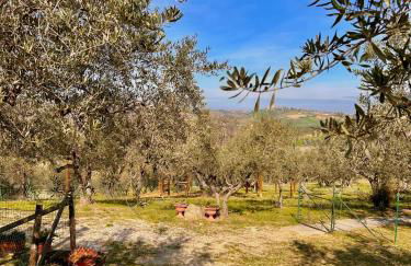 oasi macerina - Foto 45