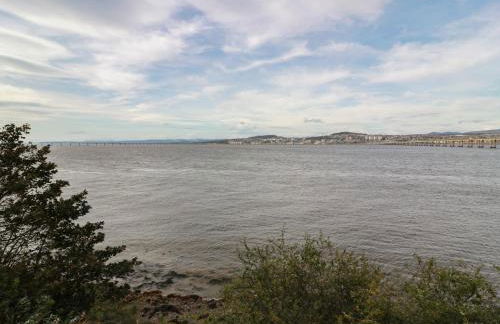 Lazy Bulldog - Foto 20