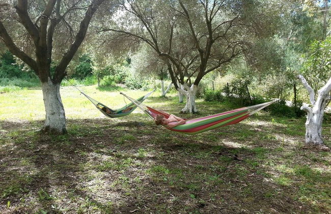 Cute Yellow Handmade House With Garden - Photo 62