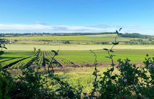 Castlehill - Photo 17