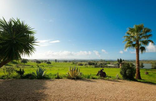 Luxe villa for 8 - Private Pool -AC -BBQ Area - Patio - 160Mbps - Olives - Palm - vineyard - Foto 11