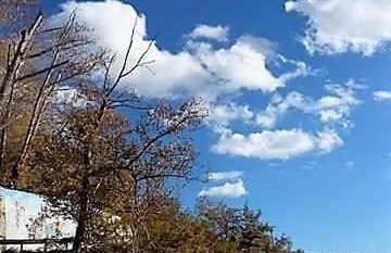 Traditional Mansion Calliopec-UVC sterilized - Foto 57