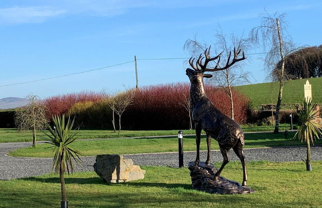 Lovely Static Holiday Caravan Near Whithorn - Photo 28