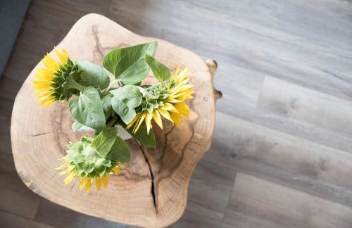 Stara Stolarnia Noclegi - Foto 40