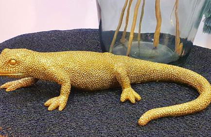 Le Cinq Bis : centre-ville*proche gare*parking - Foto 11