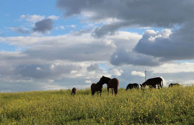 Colle San Mauro - Foto 38