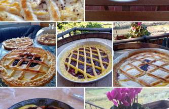 Poggio agli Ulivi vicolo di Colle Reti 22 Frascati - Foto 52