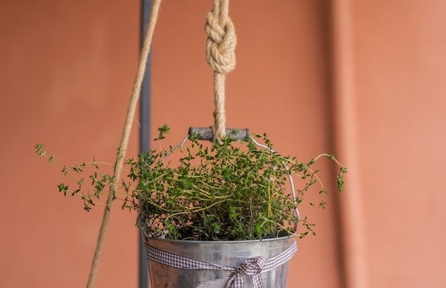 Il Nespolo - Foto 34