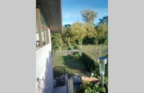 Uno sguardo sulla Valpolicella - Foto 28