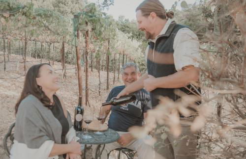 Serene Vineyard Chateau with Pool, Hot Tub, BBQ - Foto 42