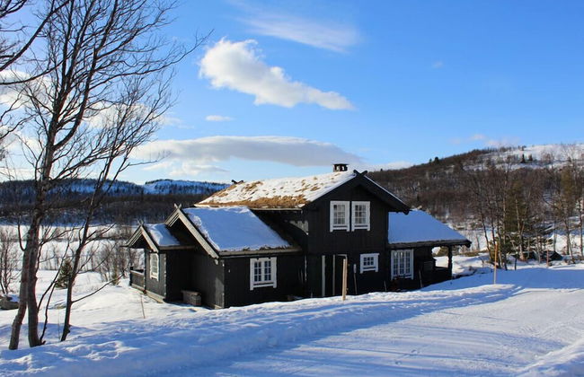 Kvitebjørn Cabin - Ål - Foto 1