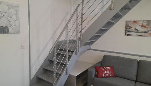 T2 Charmant duplex independant Blagnac - Photo 2