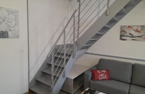 T2 Charmant duplex independant Blagnac - Photo 2