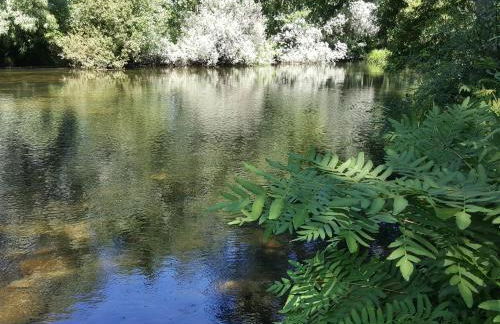 Chalet Pôr do Sol - Photo 12