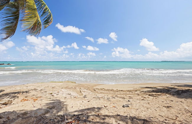 Otium Golden Beach Perfect Getaway - Photo 5