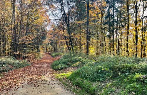 fewo Hoellbach - Foto 18