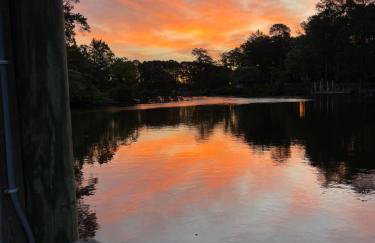 Serenity - Photo 19
