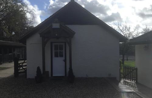 Cute Cottage 2024 Traveller Award - Photo 8