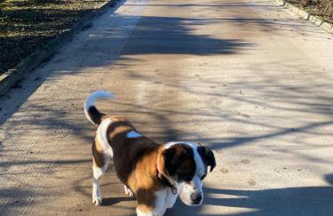 The Cottage Gortfad - Foto 16