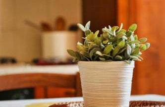 Agriturismo Polgara - Foto 20