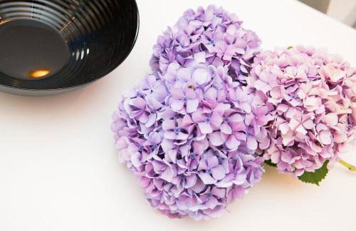 Demmy's Apartment - Foto 18