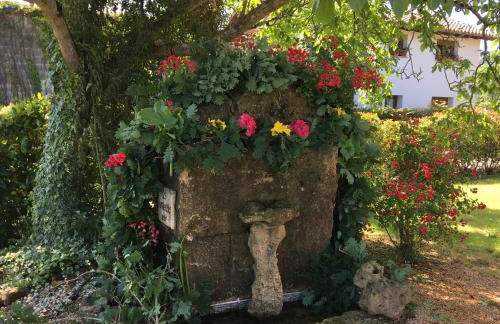 LA CASA DE LOS GÜELOS - Photo 6