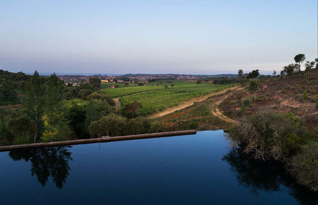Visita a la bodega Quinta da Fonte Souto - Foto 7