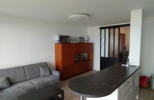 57 M2 LES PIEDS DANS l EAU Cabourg - Foto 6