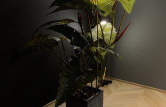 Fiorini Rooms Sora - Foto 26