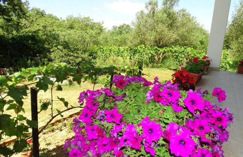 Vila s bazenom Anastazija - Foto 45