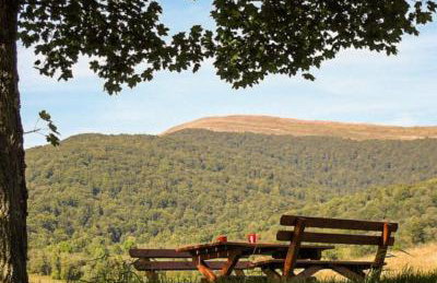 Całoroczne Domki Zacisze Hnatowego Berda , Wetlina 119 - Foto 21