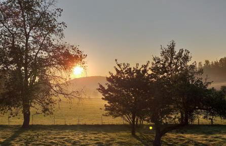 Ferienbauernhof - Foto 15