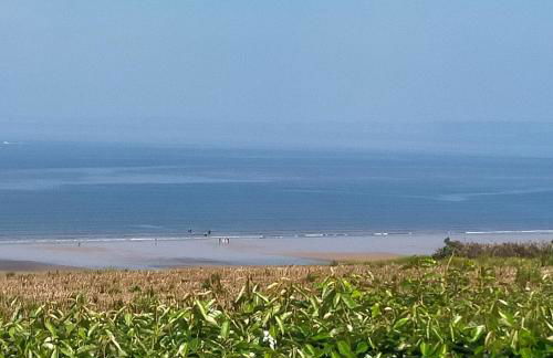 Trouz ar mor - Foto 36