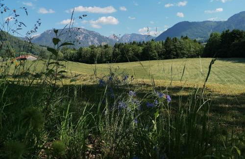 Matheishof inkl. Chiemgaukarte - Foto 7