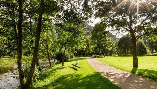 Ferienwohnung Kurparkblicksauerland - Foto 2