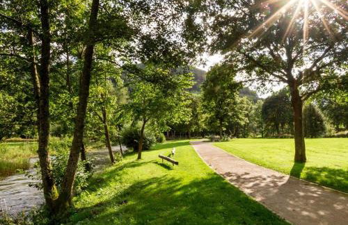 Ferienwohnung Kurparkblicksauerland - Photo 2