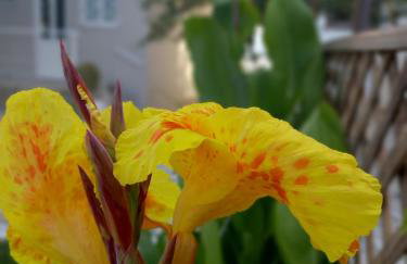 Moukas Seaside Apartments Romantico - Foto 41