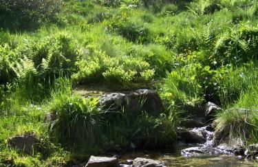 Studio 4 personnes au pied des piste plateau de Bonascre - Ax 3 domaines Eté Hiver - Foto 36