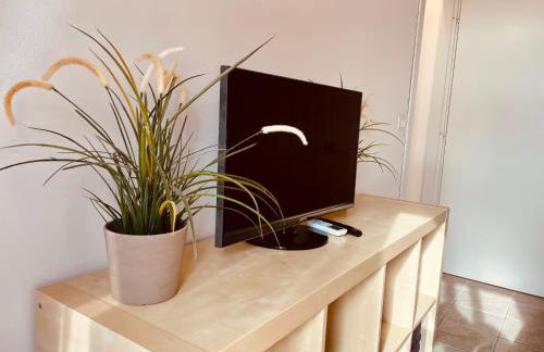 IL GABBIANO - Foto 11