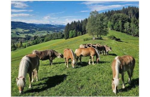 Holiday home in Weitnau with swimming pool - Photo 4