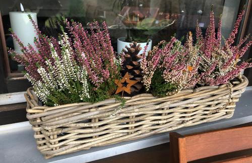 Nagelfluh Hüs - Foto 7