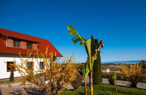 Weingut Geiger - Foto 60