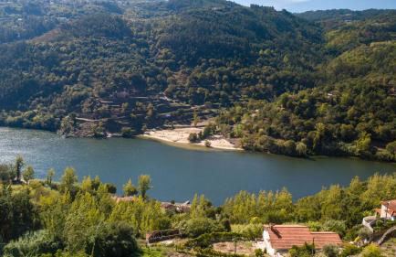 Casa Amarela - Foto 1