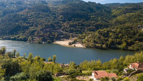 Casa Amarela - Foto 1