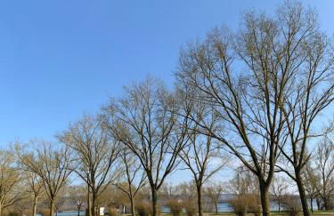 L appart près des écluses - Foto 12