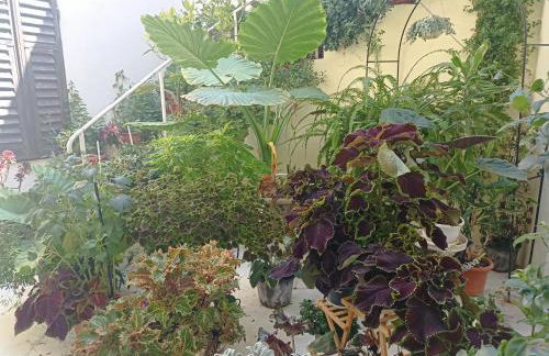 App Bonić - Foto 36