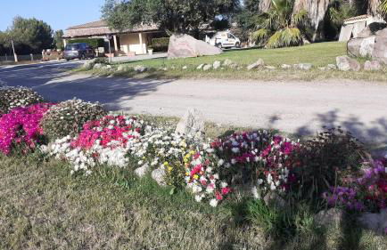 Hotel Perda Rubia - Foto 65